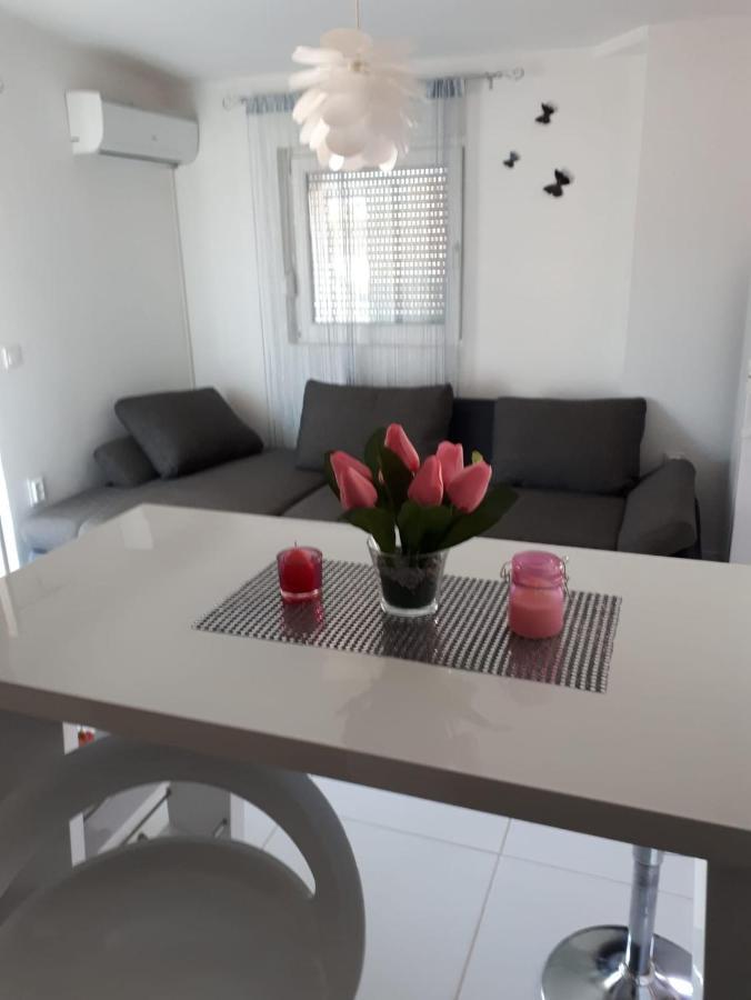 Apartmani Plesa Vir Extérieur photo